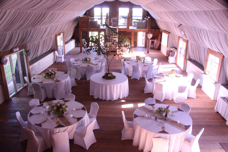 Name:  Bedinghams2.jpg
Views: 325
Size:  93.0 KB